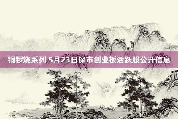铜锣烧系列 5月23日深市创业板活跃股公开信息