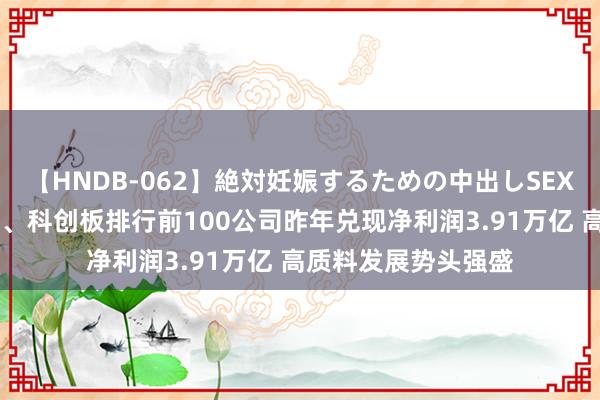 【HNDB-062】絶対妊娠するための中出しSEX！！ 主板、创业板、科创板排行前100公司昨年兑现净利润3.91万亿 高质料发展势头强盛