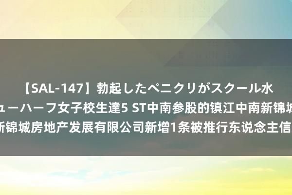 【SAL-147】勃起したペニクリがスクール水着を圧迫してしまうニューハーフ女子校生達5 ST中南参股的镇江中南新锦城房地产发展有限公司新增1条被推行东说念主信息，推行所在1.38万元