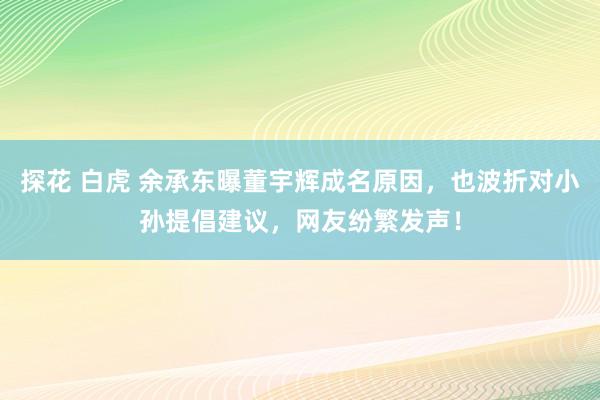 探花 白虎 余承东曝董宇辉成名原因，也波折对小孙提倡建议，网友纷繁发声！