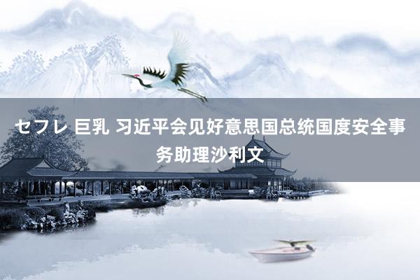 セフレ 巨乳 习近平会见好意思国总统国度安全事务助理沙利文