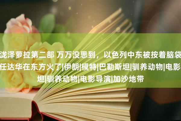 泷泽萝拉第二部 万万没思到，以色列中东被按着脑袋沙漠里摩擦。任达华在东方火了|伊朗|模特|巴勒斯坦|驯养动物|电影导演|加沙地带