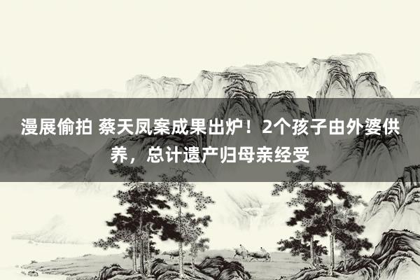 漫展偷拍 蔡天凤案成果出炉！2个孩子由外婆供养，总计遗产归母亲经受