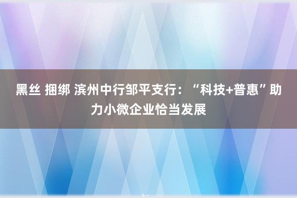 黑丝 捆绑 滨州中行邹平支行：“科技+普惠”助力小微企业恰当发展