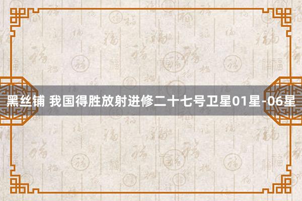 黑丝铺 我国得胜放射进修二十七号卫星01星-06星