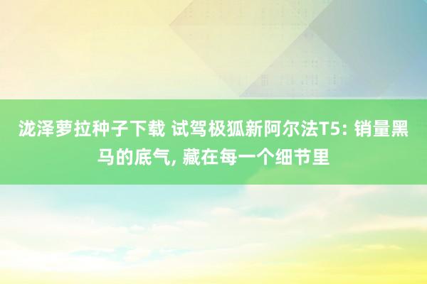 泷泽萝拉种子下载 试驾极狐新阿尔法T5: 销量黑马的底气, 藏在每一个细节里