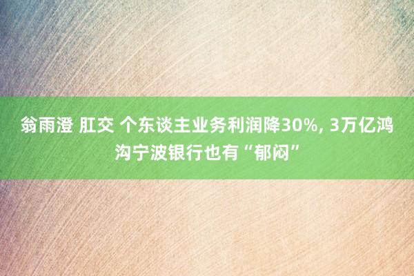 翁雨澄 肛交 个东谈主业务利润降30%, 3万亿鸿沟宁波银行也有“郁闷”