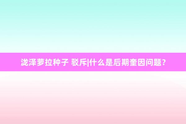 泷泽萝拉种子 驳斥|什么是后期奎因问题？