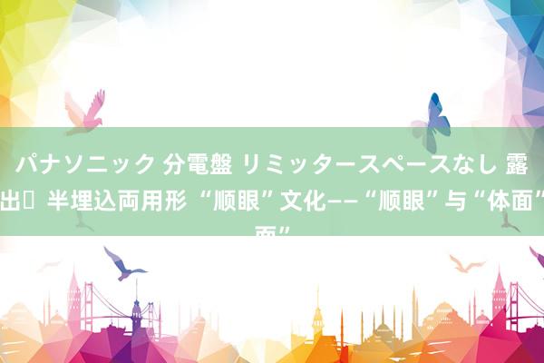 パナソニック 分電盤 リミッタースペースなし 露出・半埋込両用形 “顺眼”文化——“顺眼”与“体面”