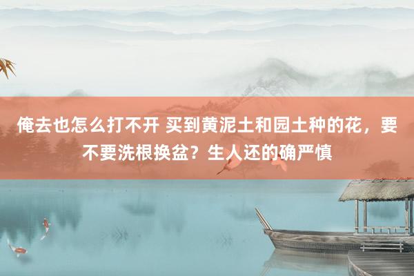 俺去也怎么打不开 买到黄泥土和园土种的花，要不要洗根换盆？生人还的确严慎