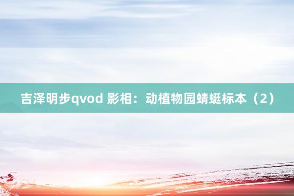 吉泽明步qvod 影相：动植物园蜻蜓标本（2）
