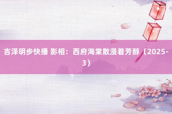 吉泽明步快播 影相：西府海棠散漫着芳醇（2025-3）
