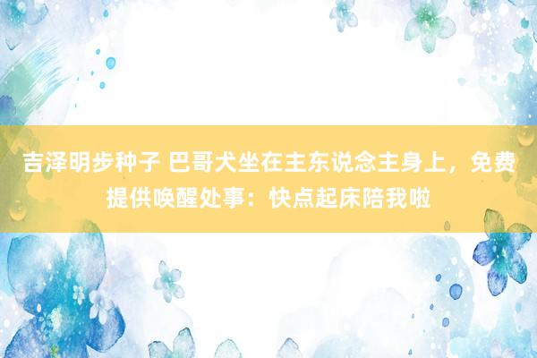 吉泽明步种子 巴哥犬坐在主东说念主身上，免费提供唤醒处事：快点起床陪我啦