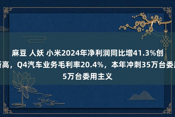 麻豆 人妖 小米2024年净利润同比增41.3%创历史新高，Q4汽车业务毛利率20.4%，本年冲刺35万台委用主义