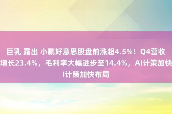 巨乳 露出 小鹏好意思股盘前涨超4.5%！Q4营收同比增长23.4%，毛利率大幅进步至14.4%，AI计策加快布局