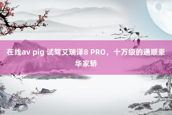 在线av pig 试驾艾瑞泽8 PRO，十万级的通顺豪华家轿