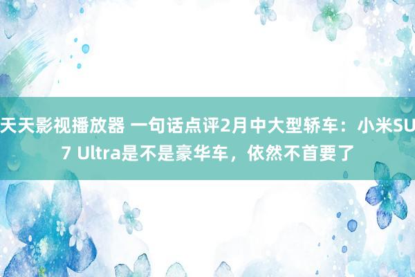 天天影视播放器 一句话点评2月中大型轿车：小米SU7 Ultra是不是豪华车，依然不首要了