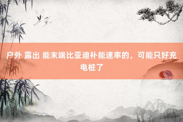 户外 露出 能末端比亚迪补能速率的，可能只好充电桩了