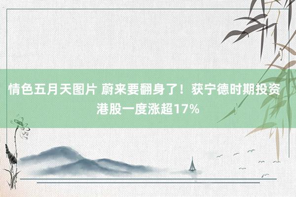 情色五月天图片 蔚来要翻身了！获宁德时期投资  港股一度涨超17%
