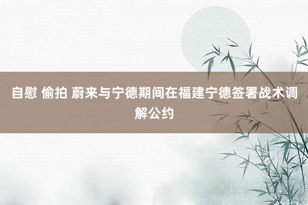 自慰 偷拍 蔚来与宁德期间在福建宁德签署战术调解公约