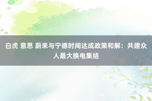 白虎 意思 蔚来与宁德时间达成政策和解：共建众人最大换电集结