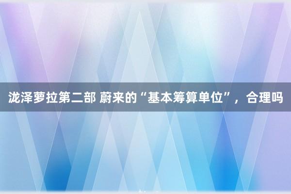 泷泽萝拉第二部 蔚来的“基本筹算单位”，合理吗